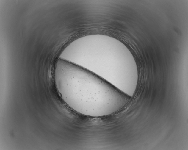 X0000115800424200911131026