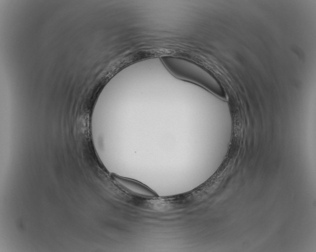 X0000115800425200911131026