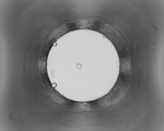 X0000115800427200911131026