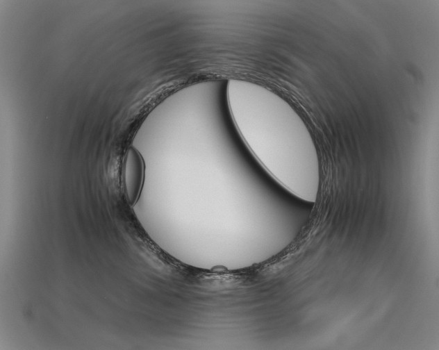 X0000115800428200911131026