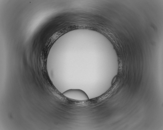 X0000115800430200911131026