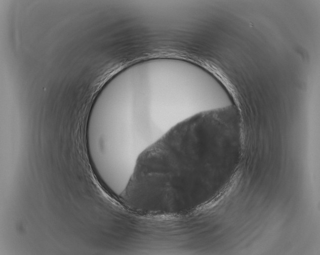 X0000115800433200911131025