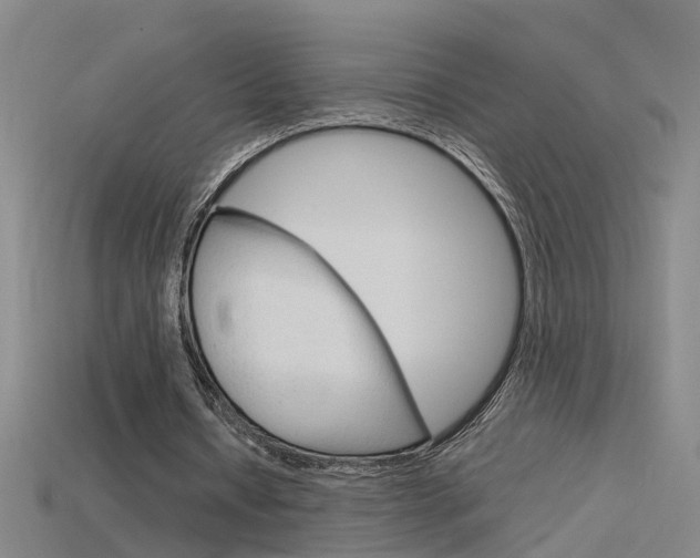 X0000115800434200911131025