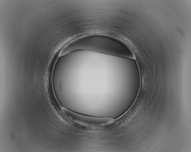 X0000115800436200911131025