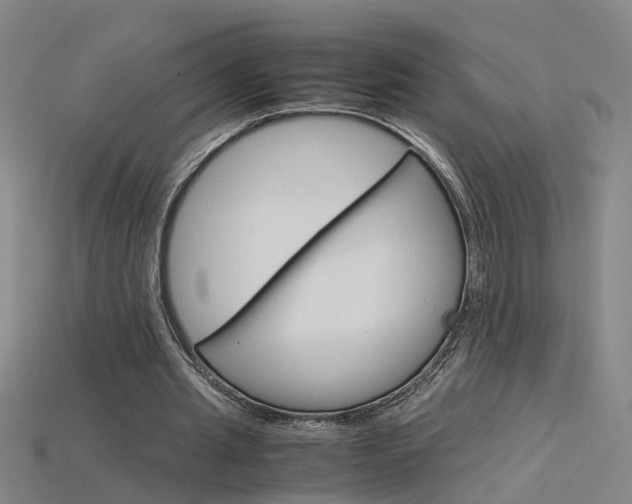 X0000115800437200911131025