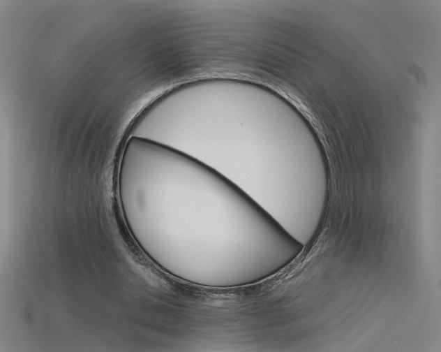 X0000115800438200911131025