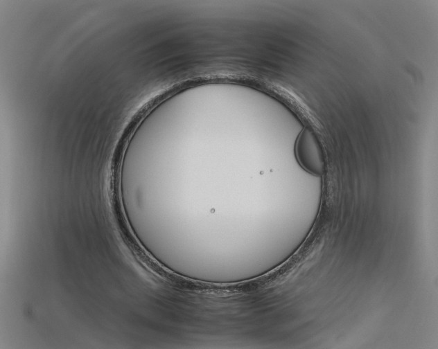 X0000115800439200911131025
