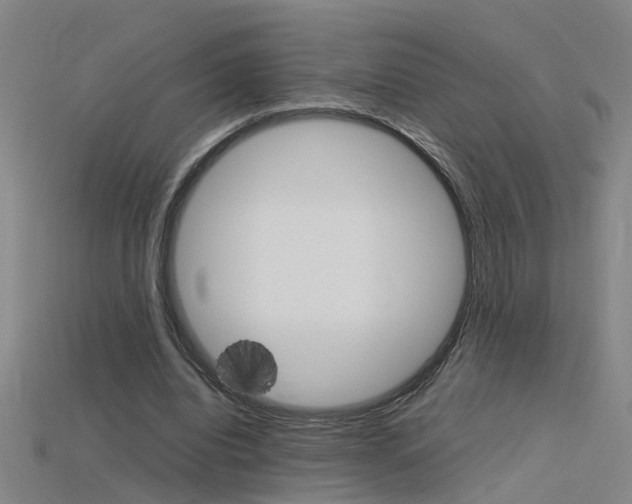 X0000115800440200911131025
