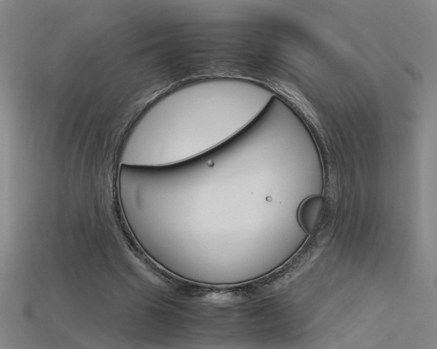X0000115800441200911131025
