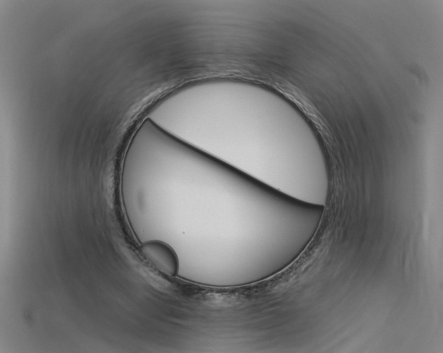 X0000115800442200911131025