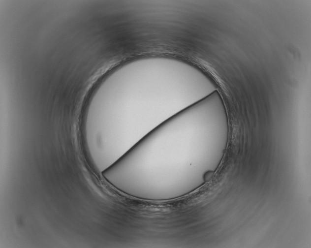 X0000115800443200911131025