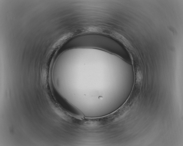 X0000115800444200911131026