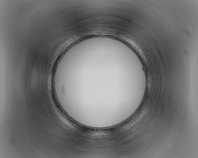 X0000115800445200911131026