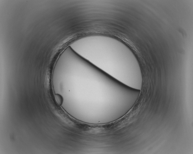 X0000115800446200911131026