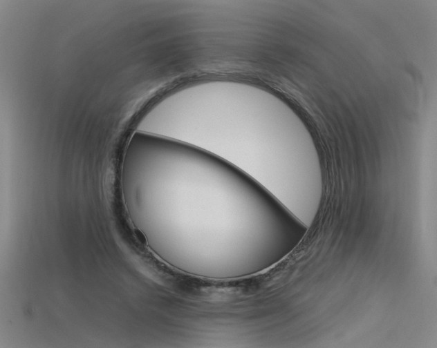 X0000115800448200911131026
