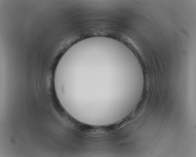 X0000115800451200911131026