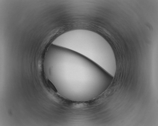 X0000115800452200911131026