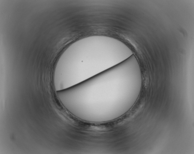 X0000115800455200911131026