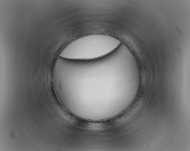 X0000115800457200911131026