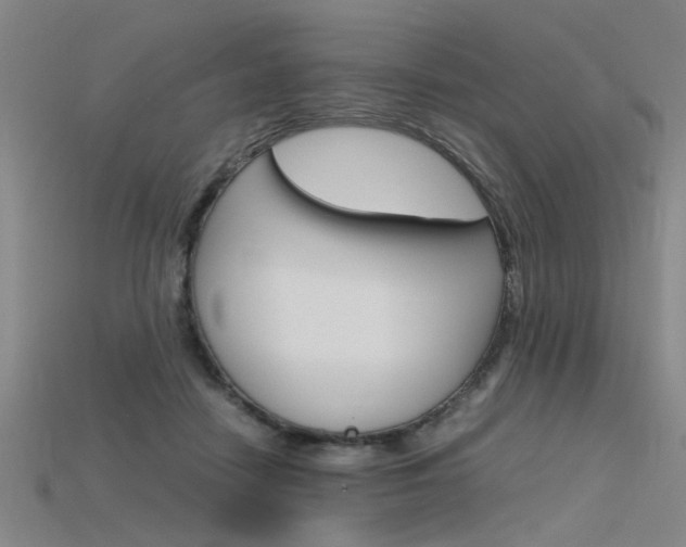 X0000115800458200911131026
