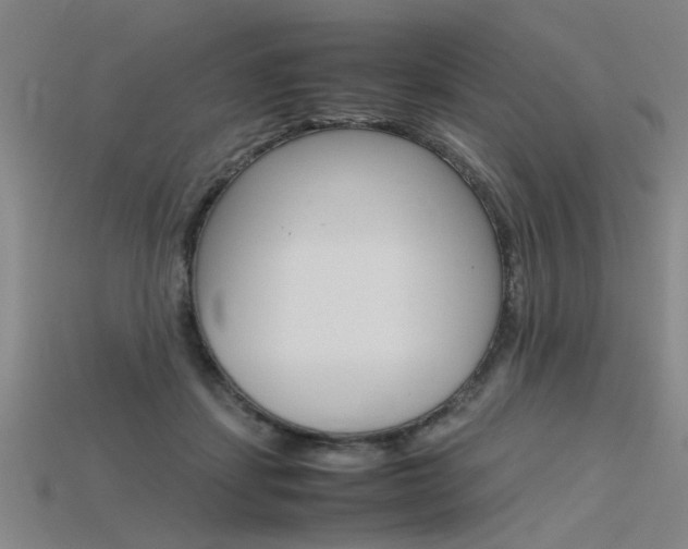 X0000115800459200911131026