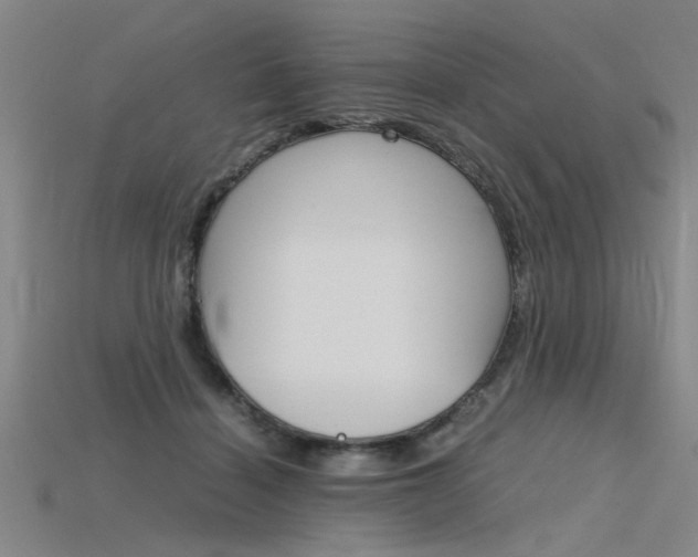 X0000115800460200911131026