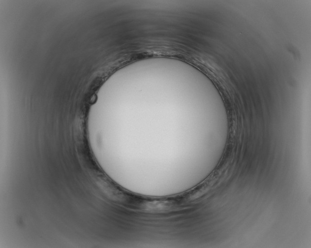X0000115800461200911131026