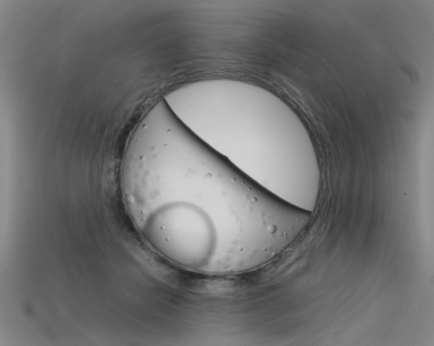 X0000115800462200911131026