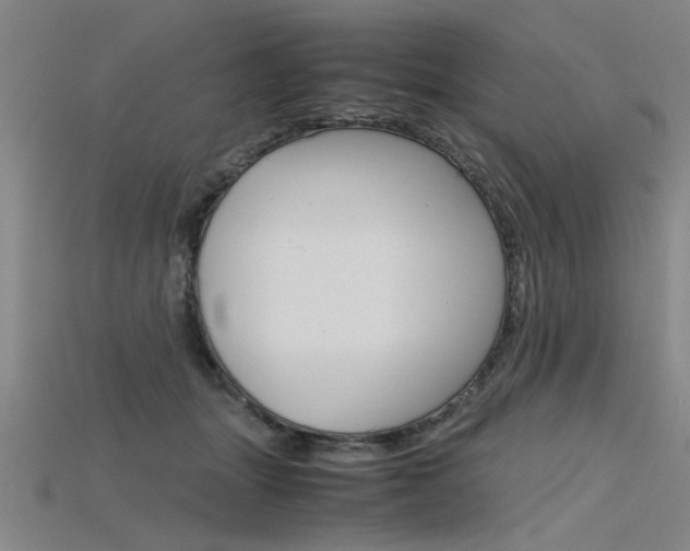 X0000115800463200911131026