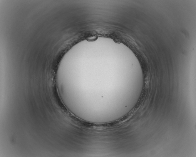 X0000115800464200911131026