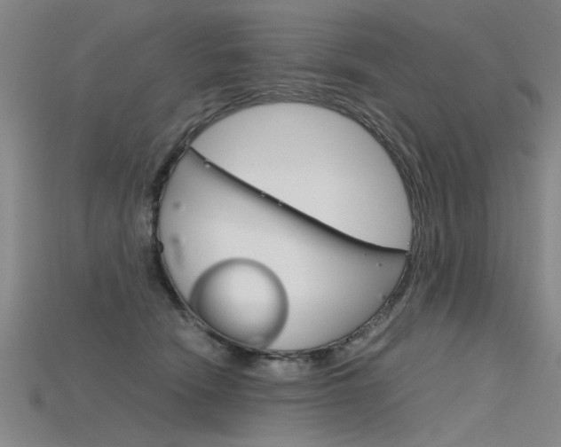 X0000115800466200911131026