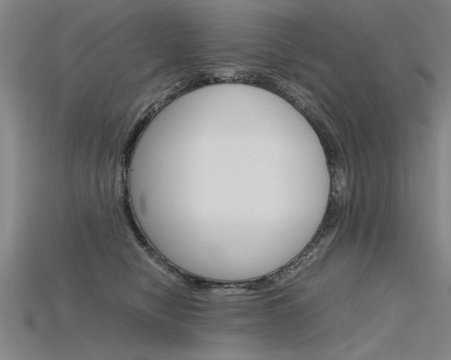 X0000115800470200911131026