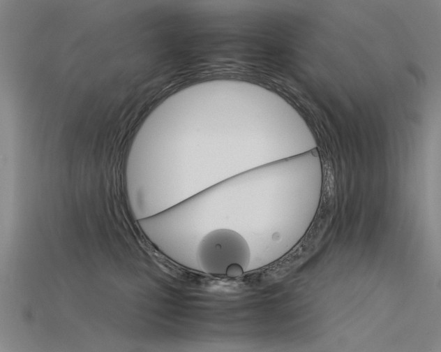 X0000115800471200911131026