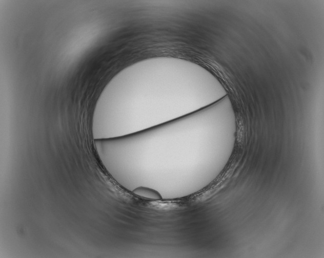 X0000115800477200911131026
