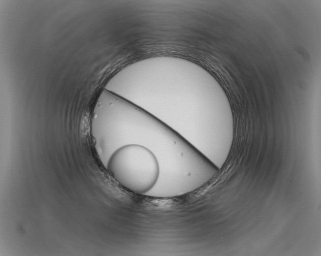 X0000115800478200911131026
