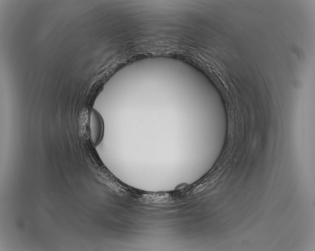 X0000115800480200911131026