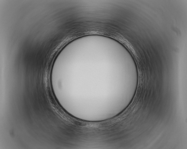 X0000115800482200911131025