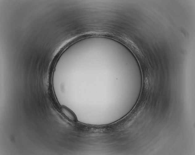 X0000115800484200911131025