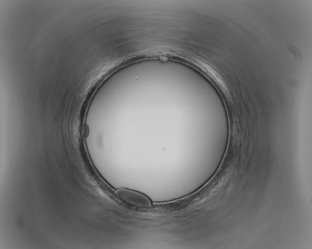X0000115800485200911131025
