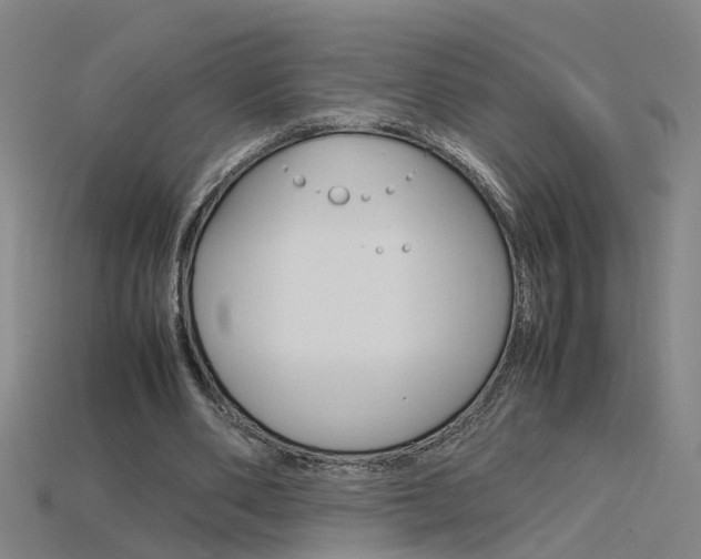 X0000115800486200911131025