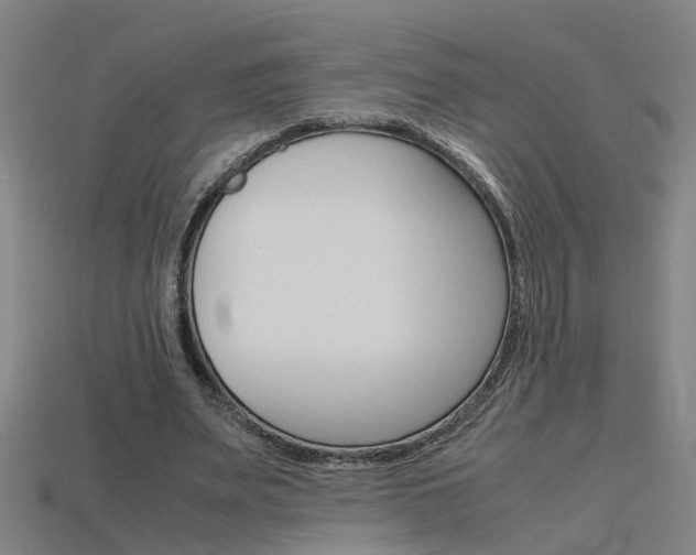 X0000115800487200911131025