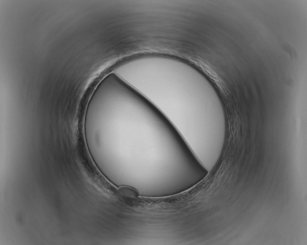 X0000115800488200911131025