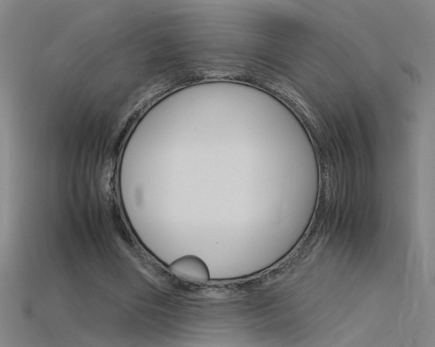 X0000115800490200911131025