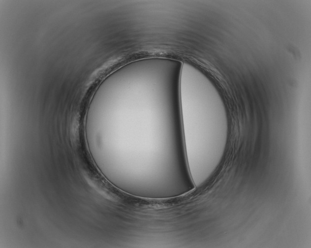 X0000115800492200911131025