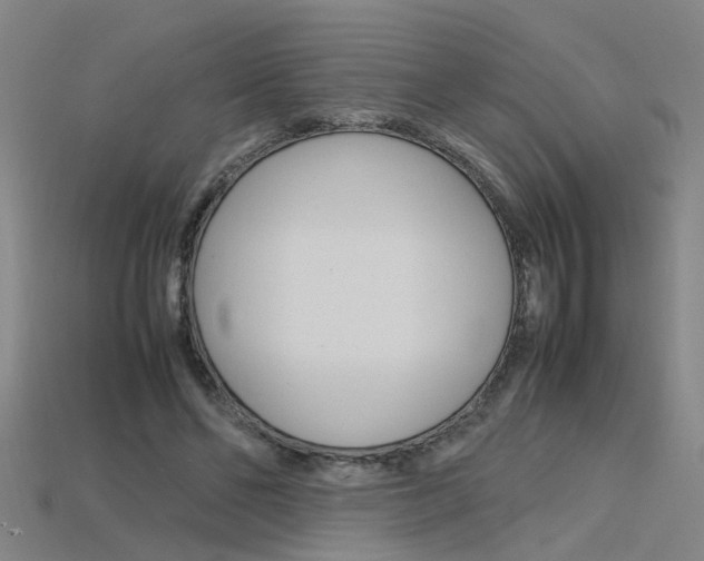 X0000115800494200911131025