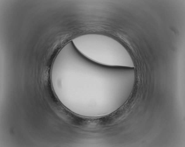 X0000115800495200911131025