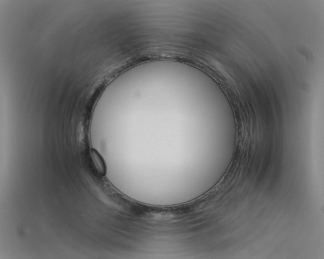 X0000115800500200911131025