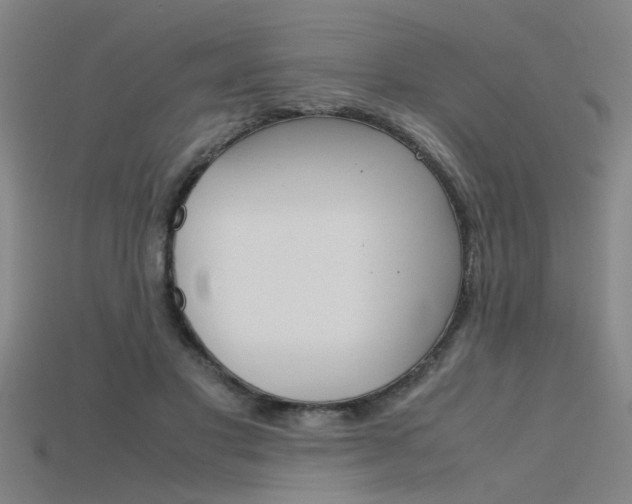 X0000115800501200911131025