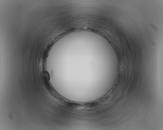 X0000115800504200911131025