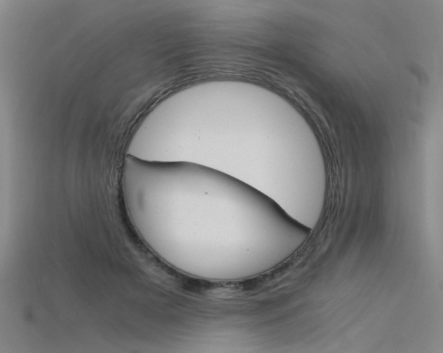 X0000115800505200911131025